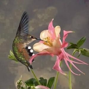 Meet your Posher, Jackie